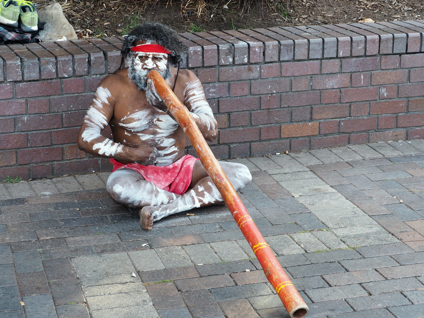 The Didgeridoo Player (1)