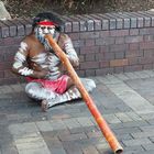 The Didgeridoo Player (1)