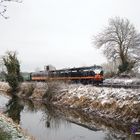 The Diesel Do an der Royal Canal