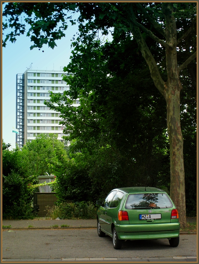 The Different Shades of Green