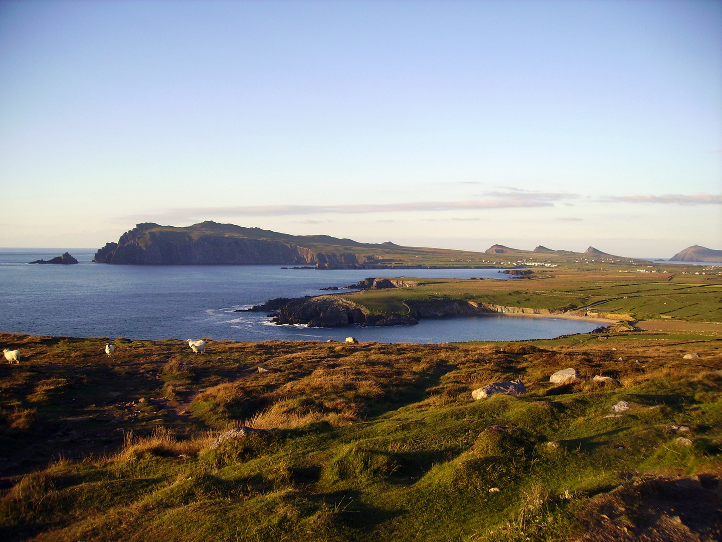 The Dingle Bay