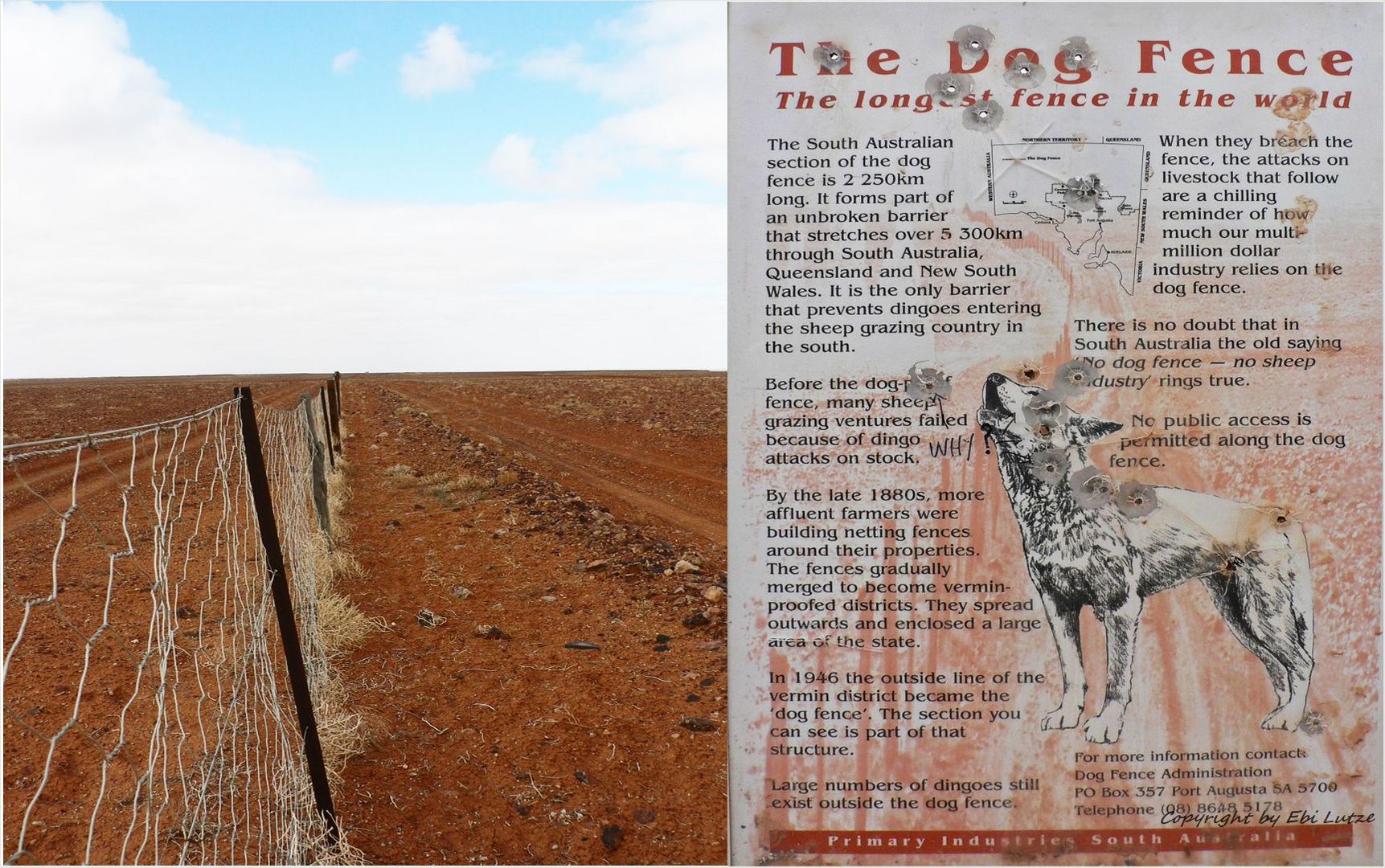 * The Dingo Fence / longest fence in the world *