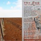 * The Dingo Fence / longest fence in the world *