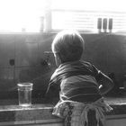 the dish washer!