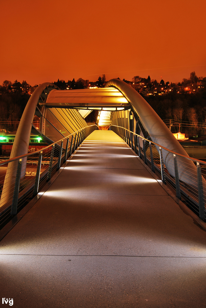 the dna bridge