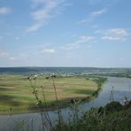The Dniester (downstream)