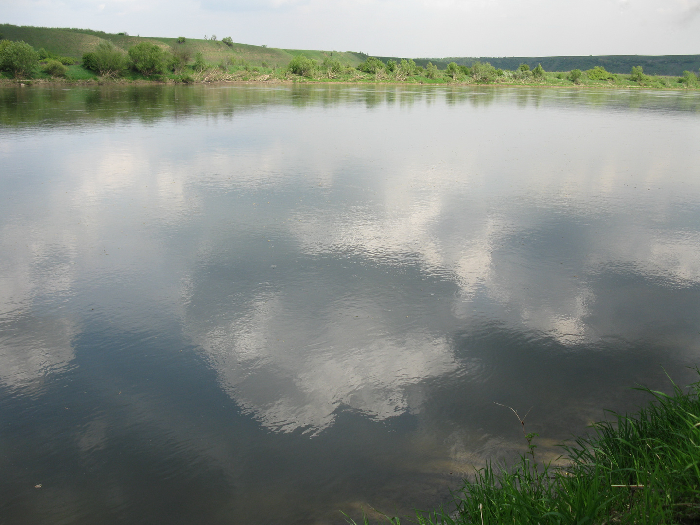 The Dniester in May