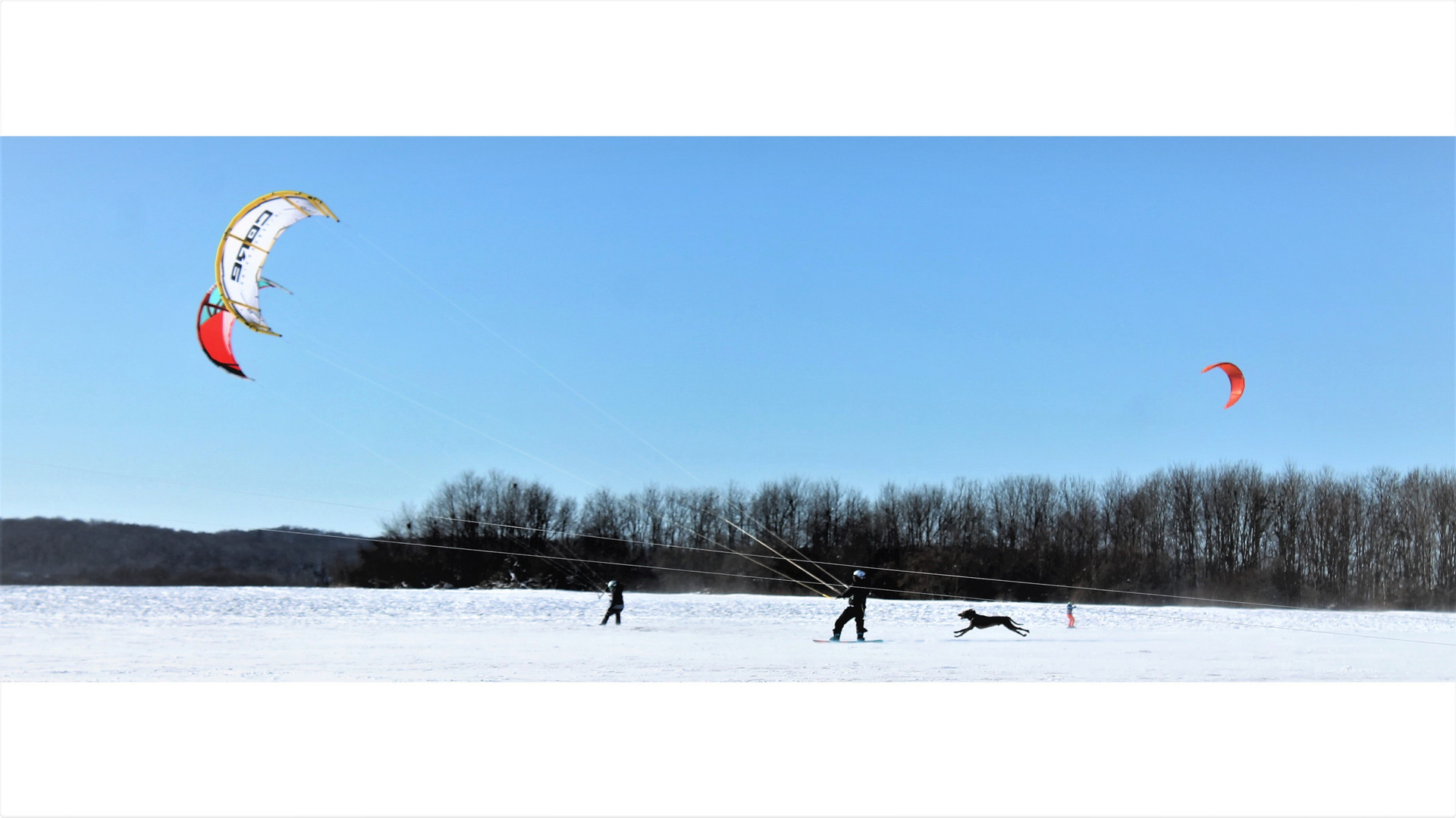 The Dog and the Snowkiting