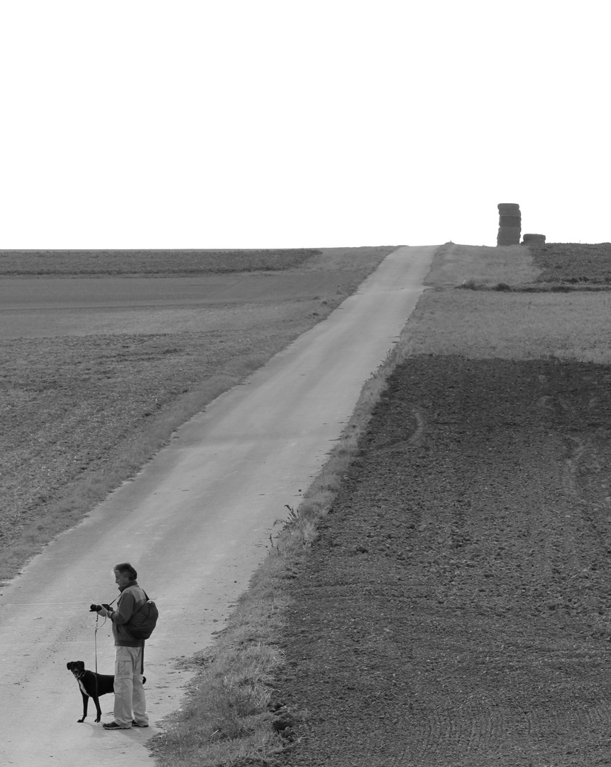 ..the dog,the fotographer and the road..