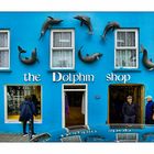 - The Dolphin Shop in Dingle -