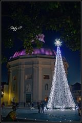 The Dome and the Tree