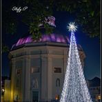 The Dome and the Tree