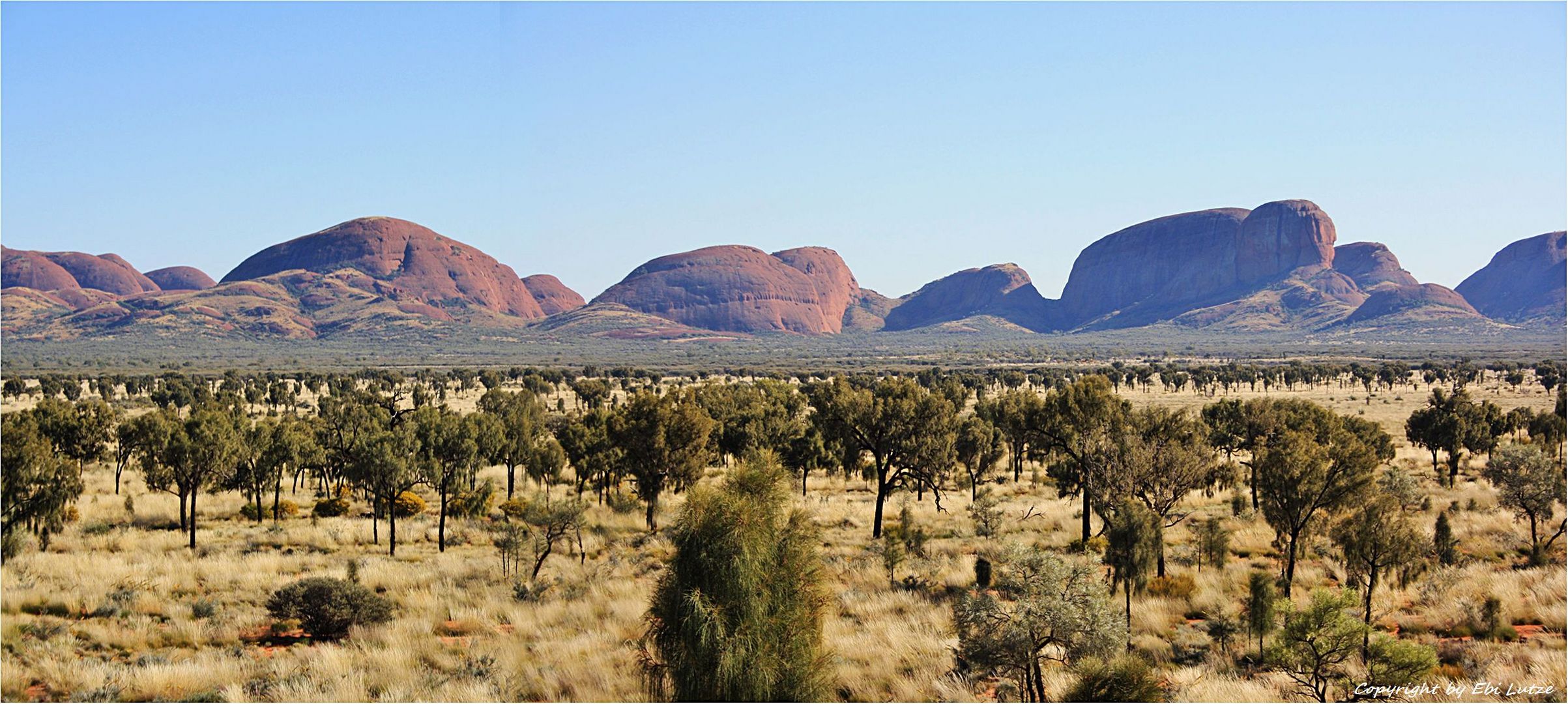 * The Domes of the Olgas *