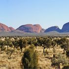 * The Domes of the Olgas *