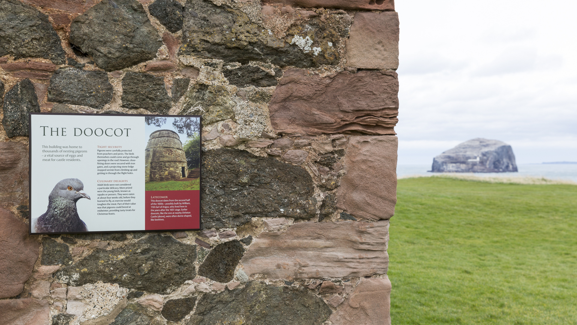 THE DOOCOT...