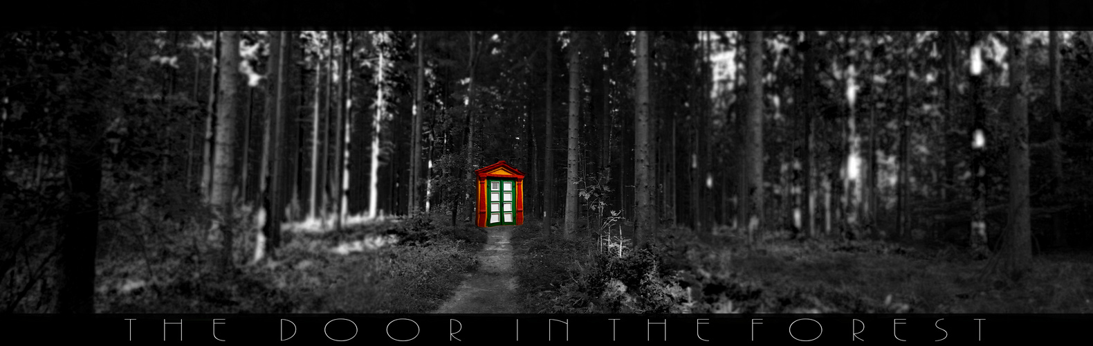 The Door in The Forest