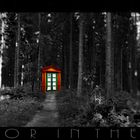 The Door in The Forest