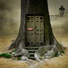 The door will open, if you are open for fantasy.