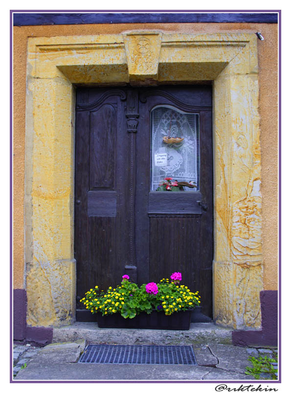 THE DOOR WITH THE FLOWERS