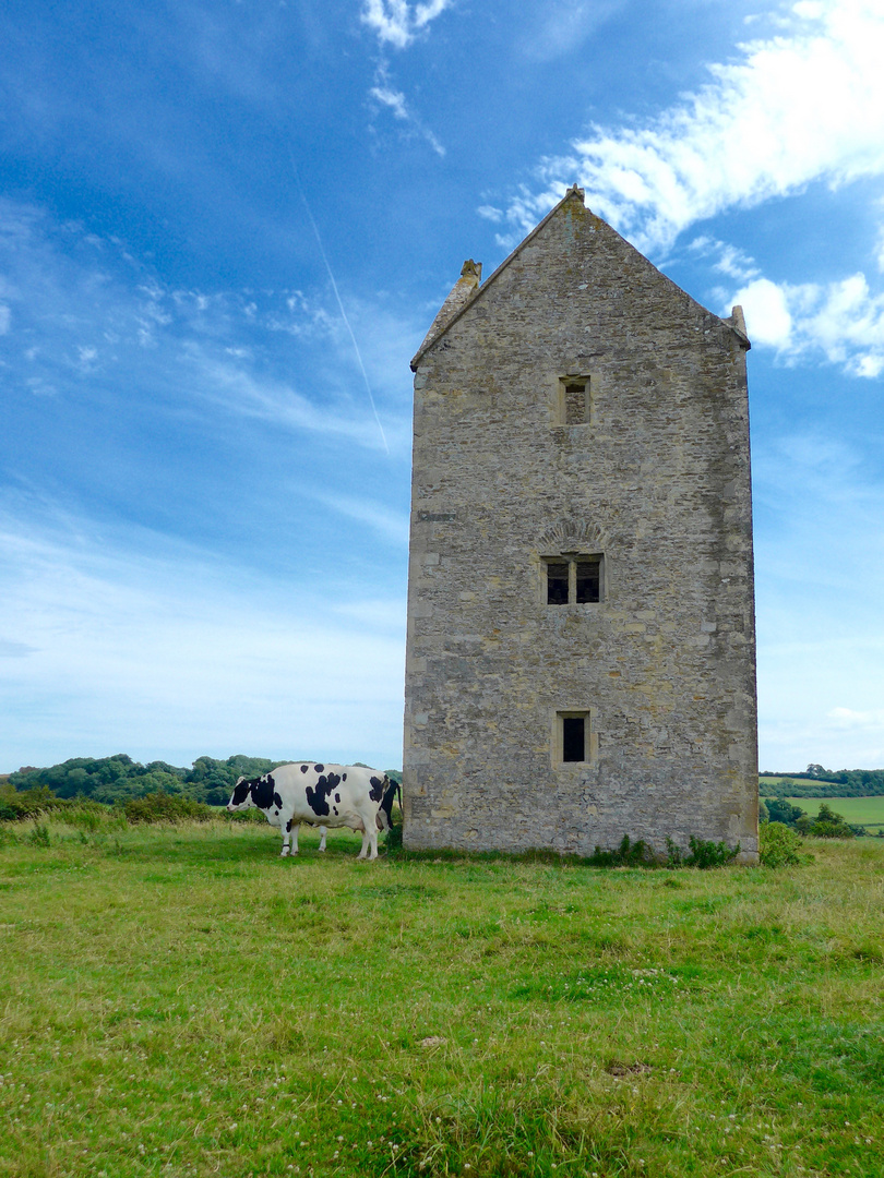 The Dovecote on Lusty Hill, Bruton, Somerset