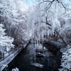 The Dreamy Pond (lo stagno dei sogni)