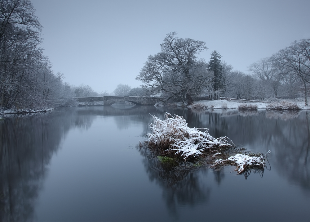 The Dromore river ( Ireland)