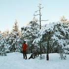 The drone pilot on Central park of Helsinki