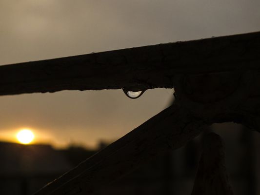 the drop of sunshine
