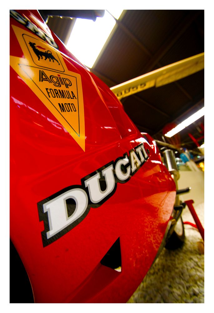 The Duc