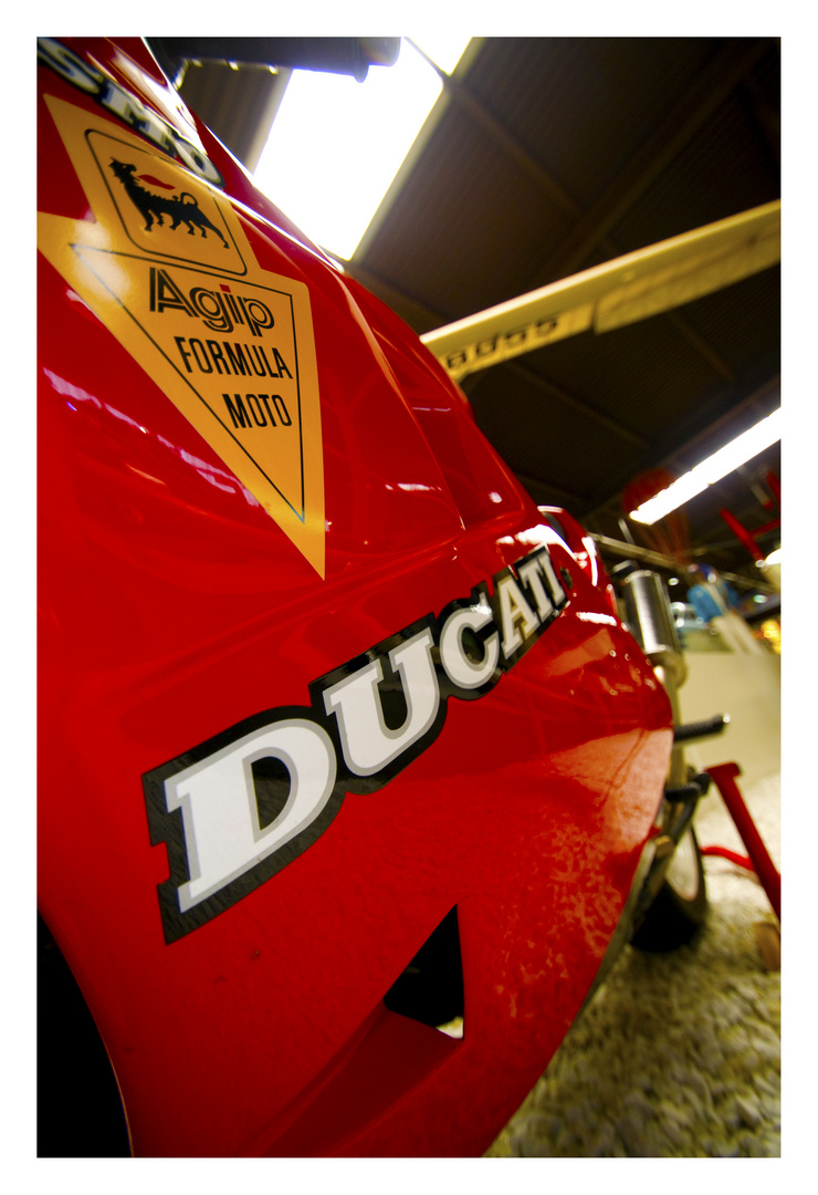 The Duc