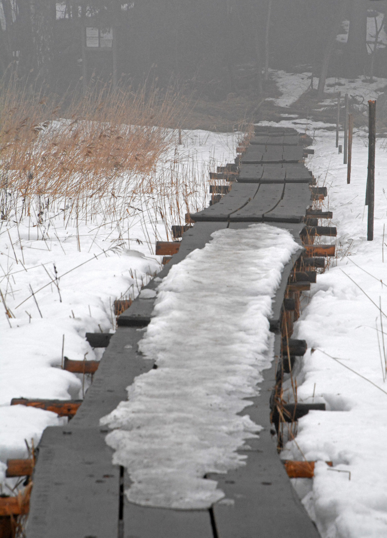 The duckboard on Seurasaari