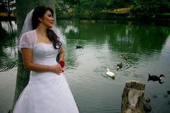 The ducks and the bride