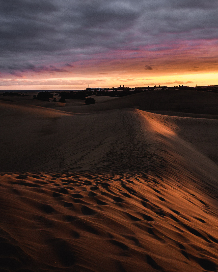 The Dune