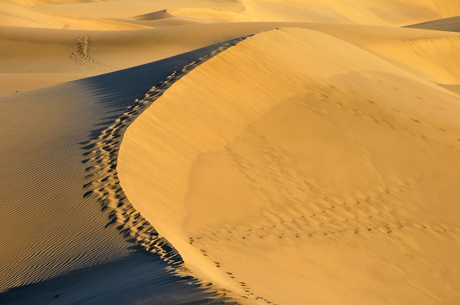 The Dune I