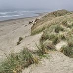 The Dunes (2)