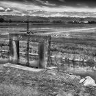 The Dyke Above The Rice Field