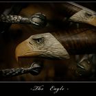 the eagle