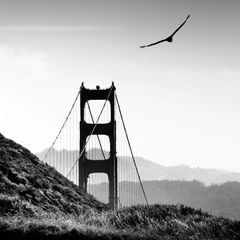 The Eagle and the Bridge