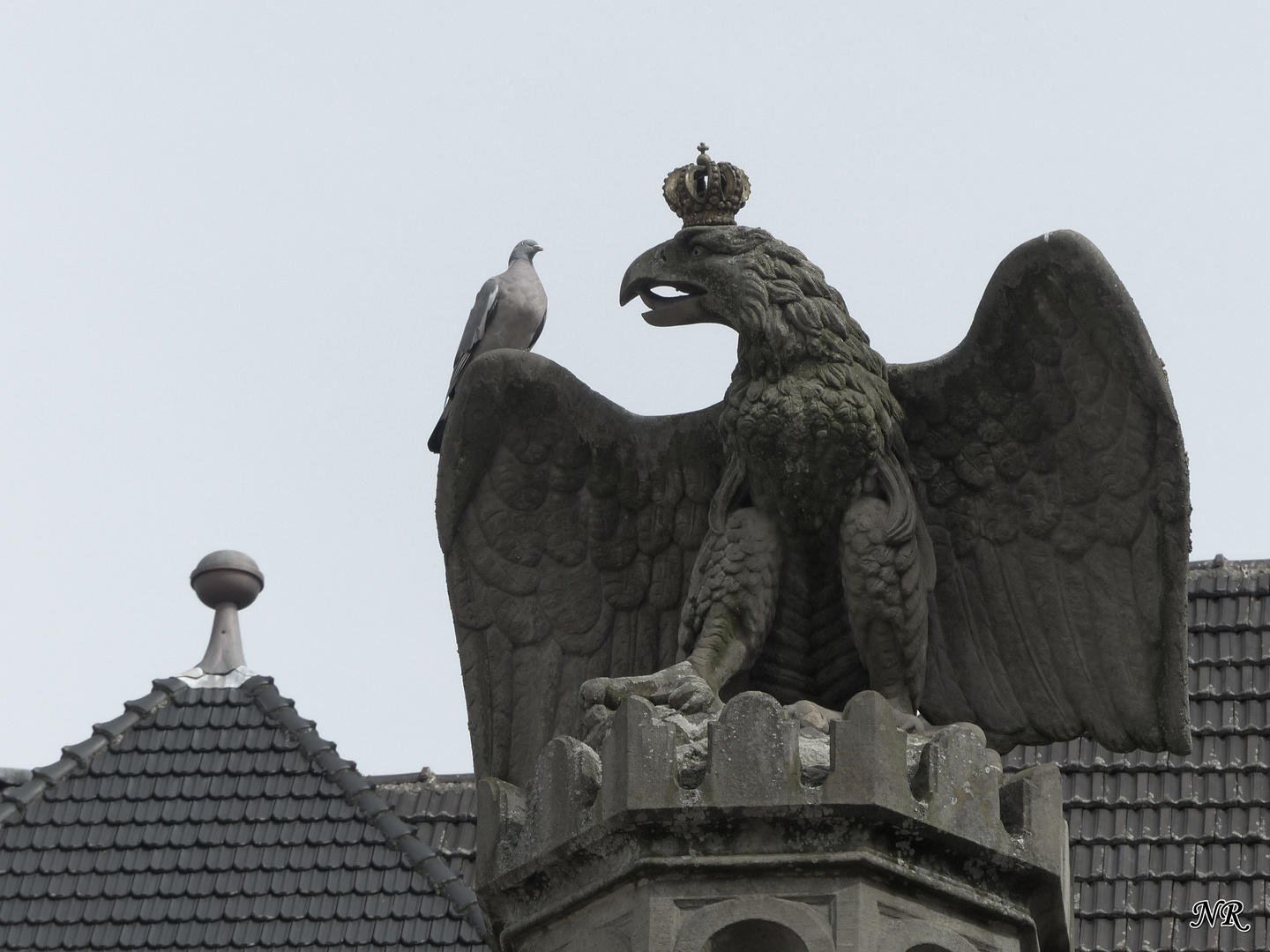 The eagle and the dove