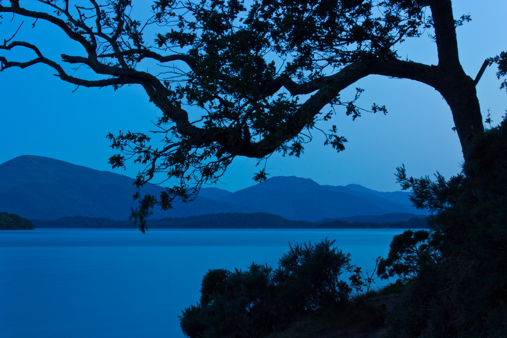 The early bird at Loch Lomond