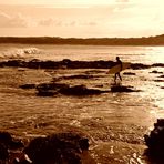 The early morning surf