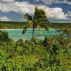 The Earth of Beauty LUENGONI BEACH