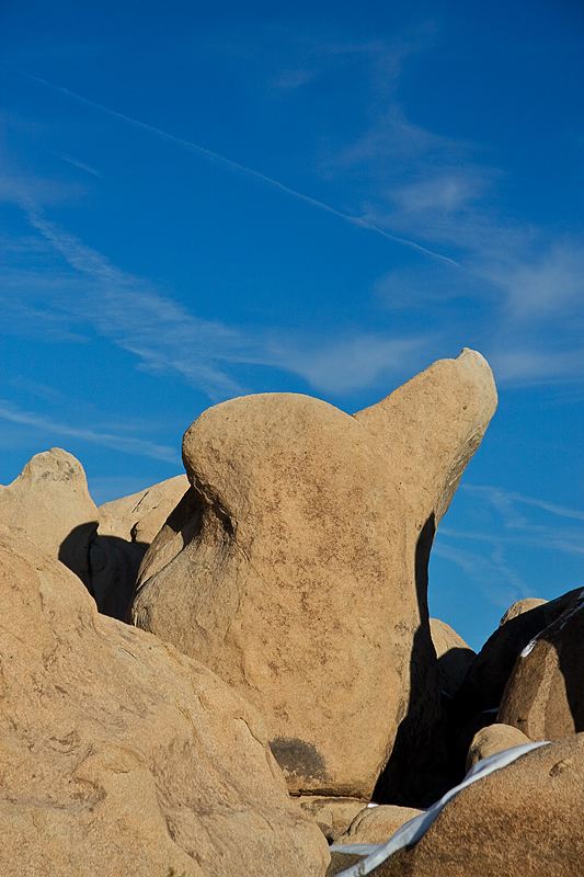 the easter bunny rock