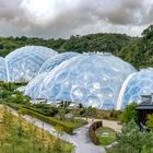 The Eden Project