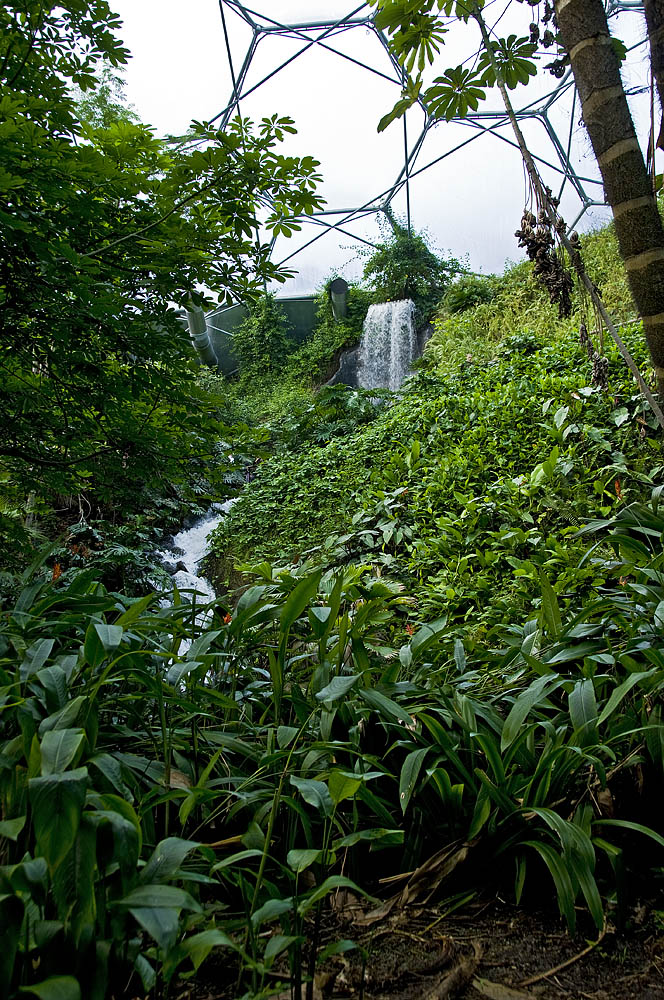 The Eden Project in Cornwall-6