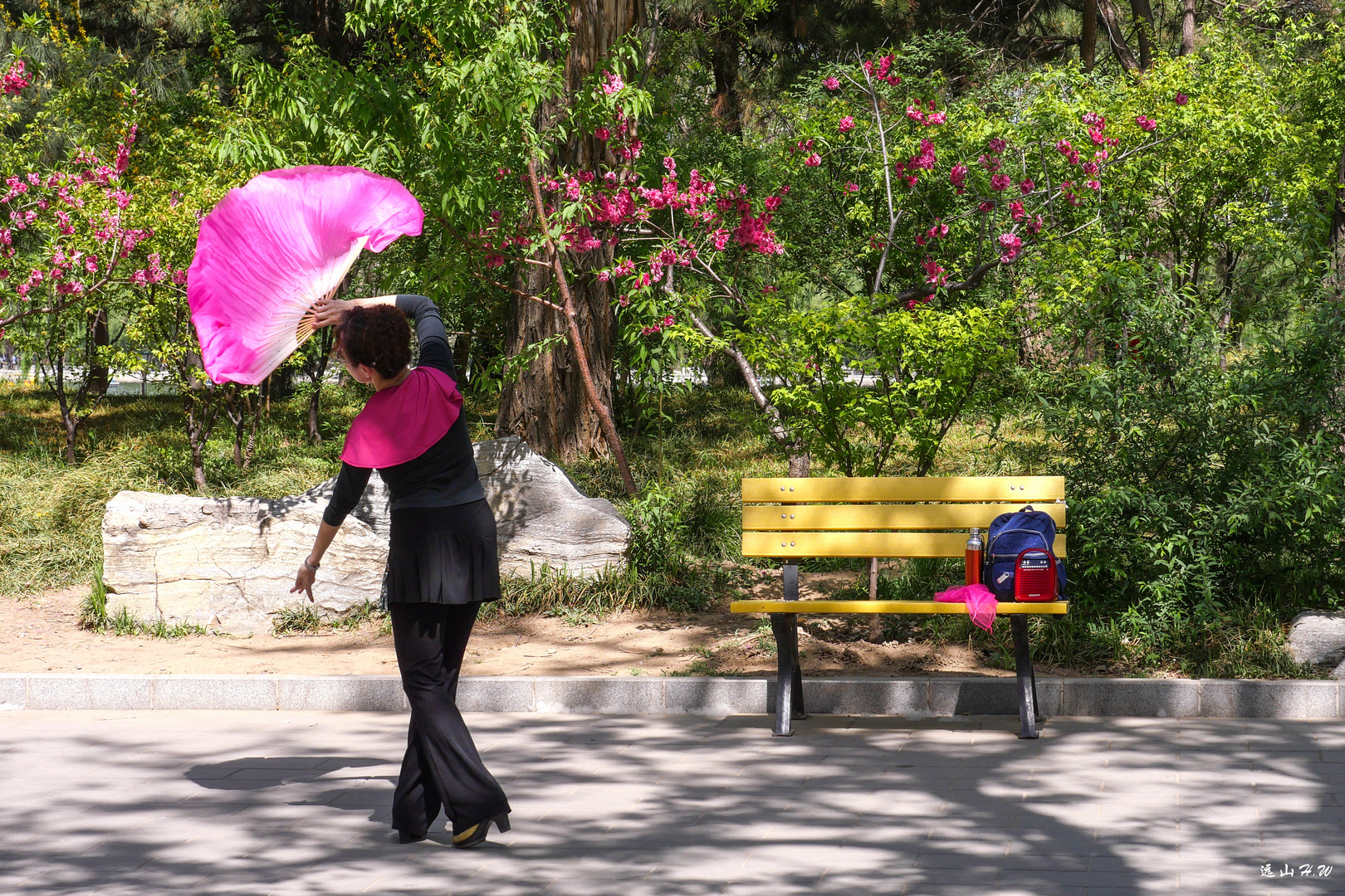 The elder artist in the park