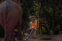 the elefant whisperer