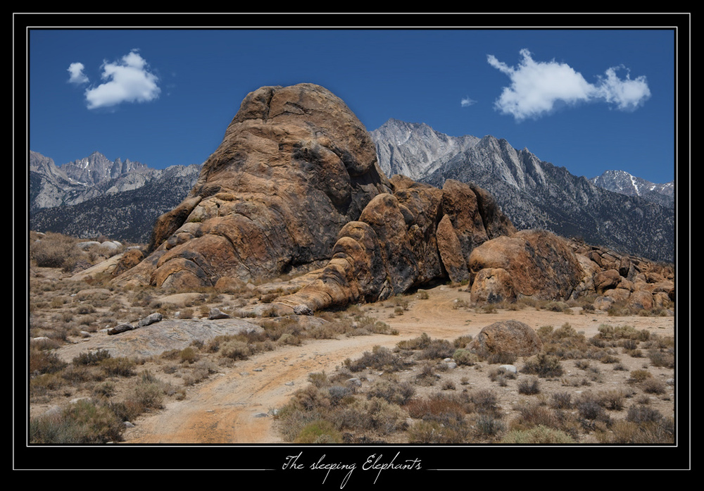 The Elephants - Alabama Hills