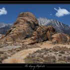 The Elephants - Alabama Hills