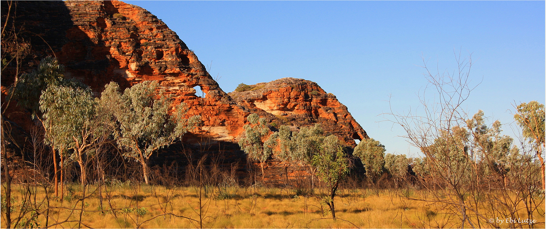 *** The Elephant's of Purnululu NP ***